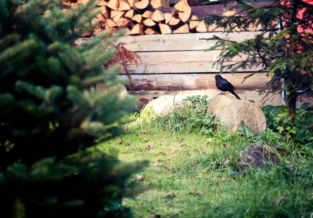 Weronika * Zakopane